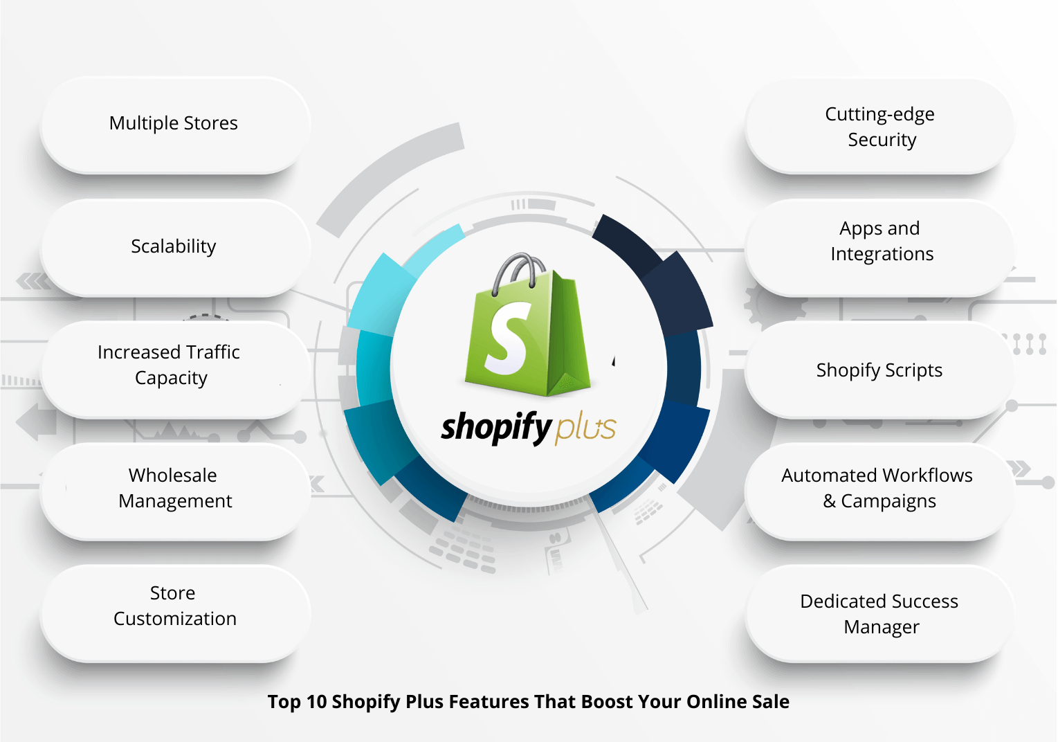 Shopify Plus Features: A Simple Guide to Boost Your Success