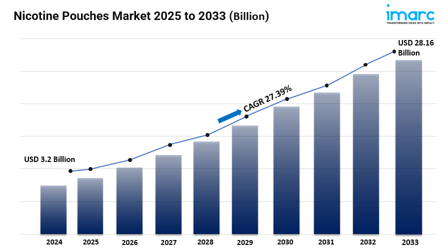 Nicotine Pouches Market