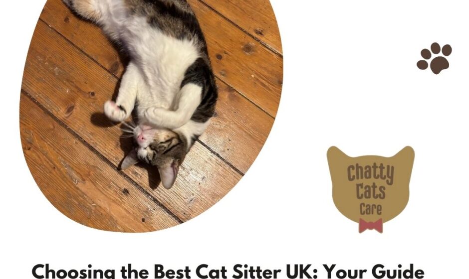 Choosing the Best Cat Sitter UK: Your Guide to Quality Pet Care with Chatty Cats Care
