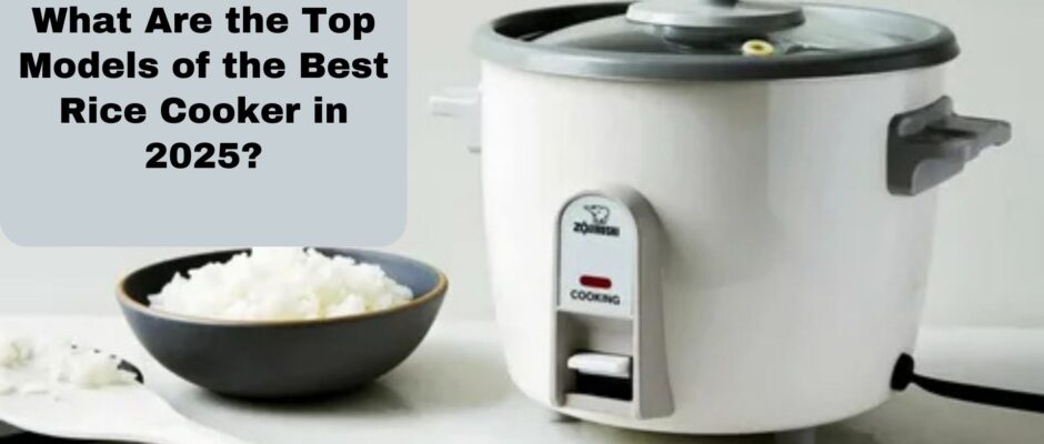 What Are the Top Models of the Best Rice Cooker in 2025