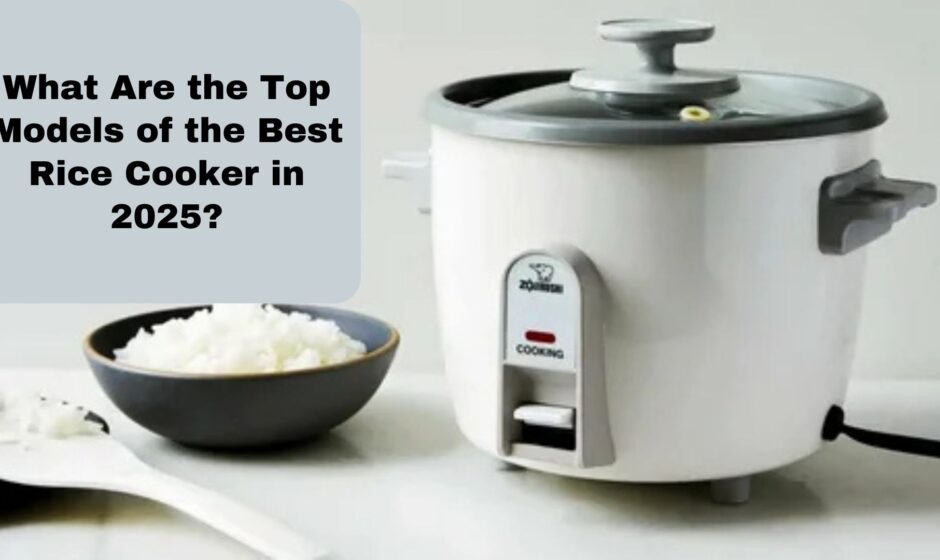 What Are the Top Models of the Best Rice Cooker in 2025