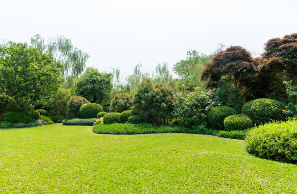 Yard Designs near me