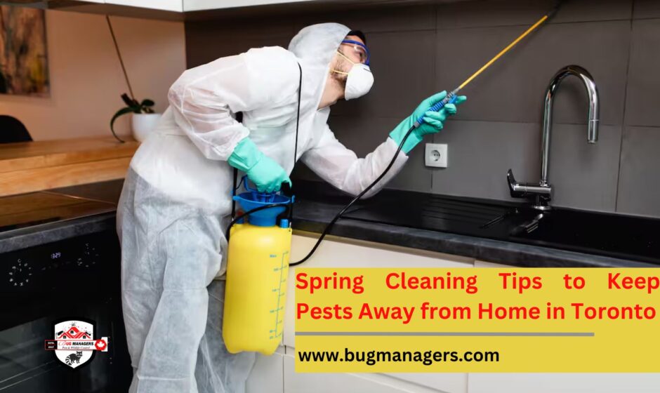 Spring Cleaning Tips to Keep Pests Away from Home in Toronto