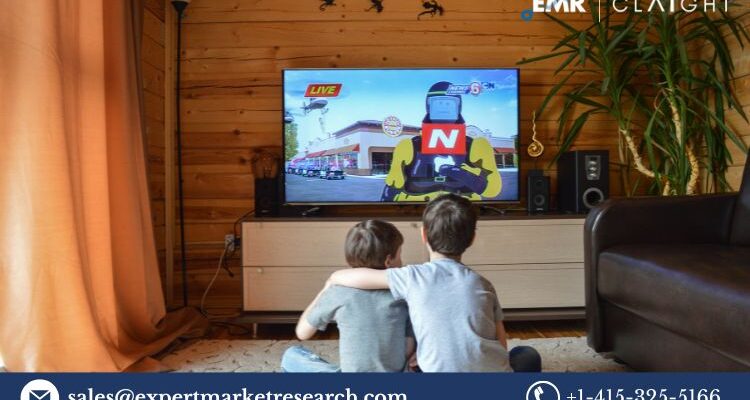 Vietnam Television Market