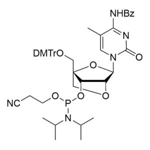 nucleic acid synthesis