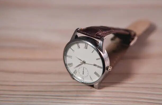Giorgio Milano Watch