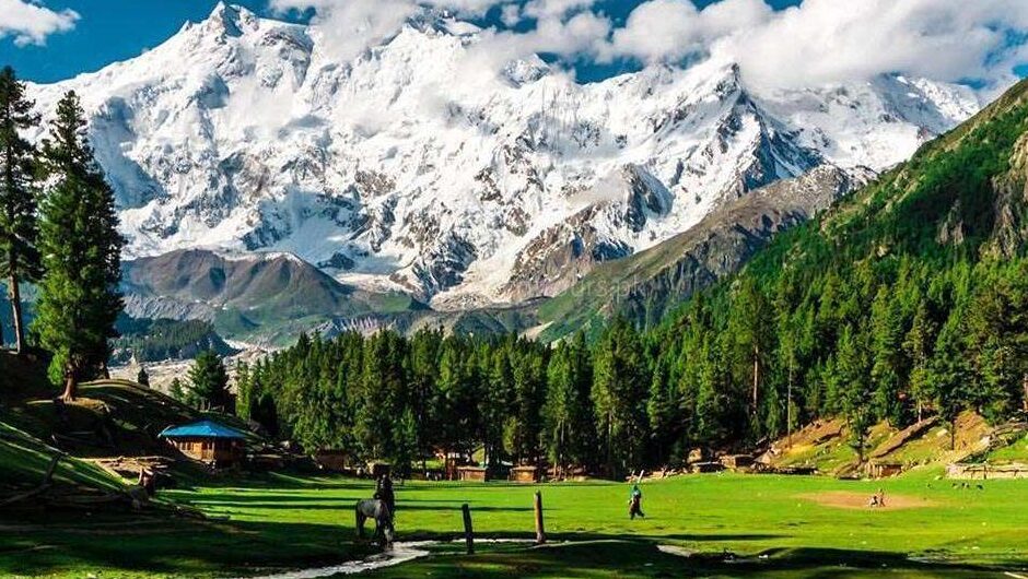 fairy meadows