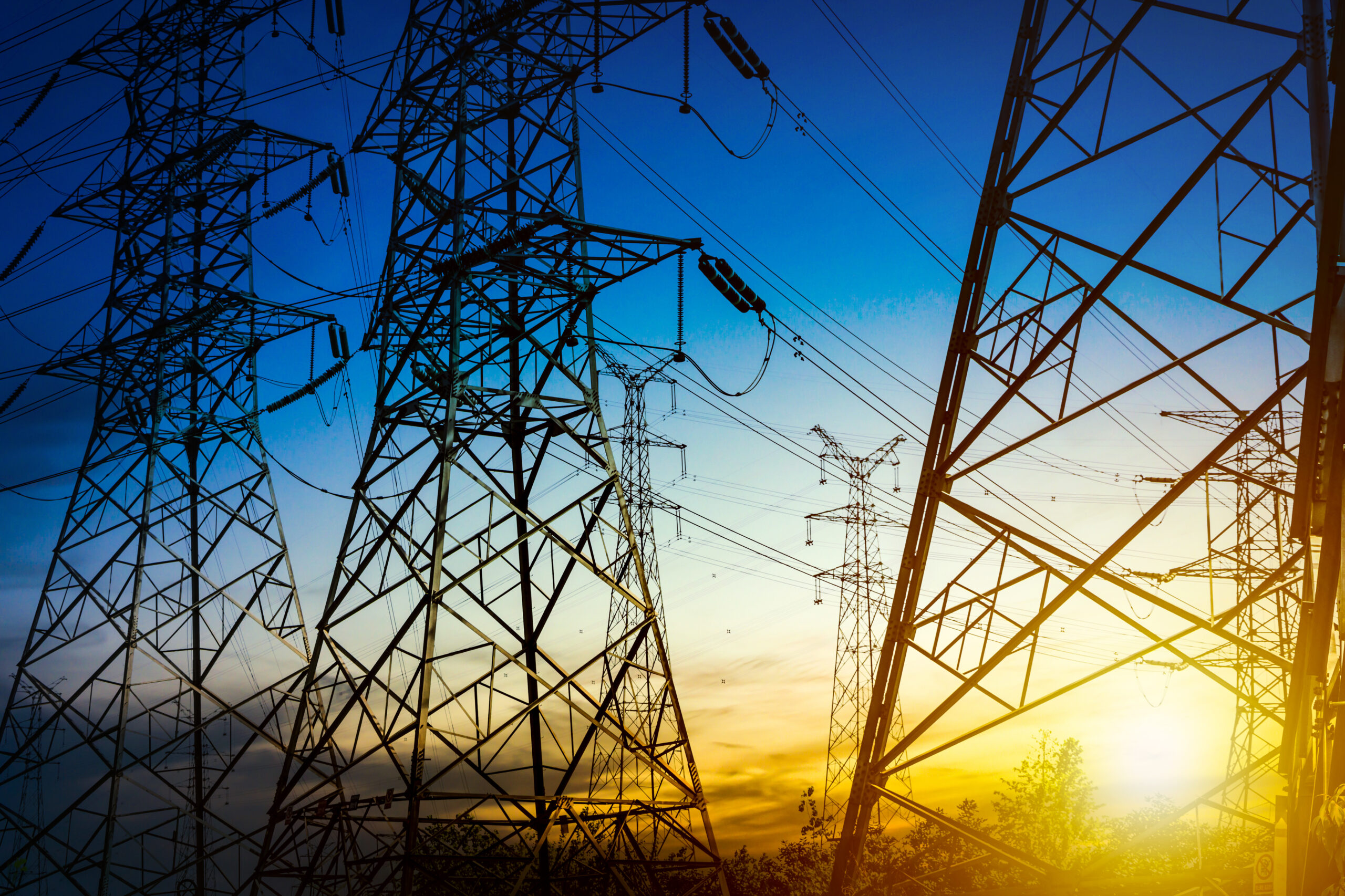 Power Grid Solutions: The Future of Energy Distribution Systems