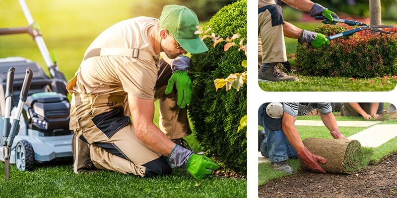 Landscaping Services