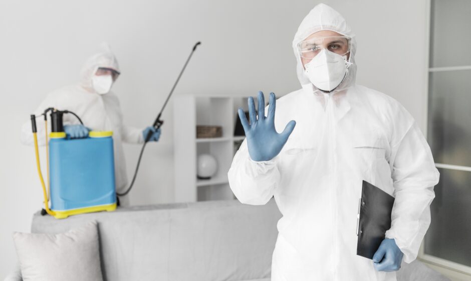 SEO Company for Pest Control