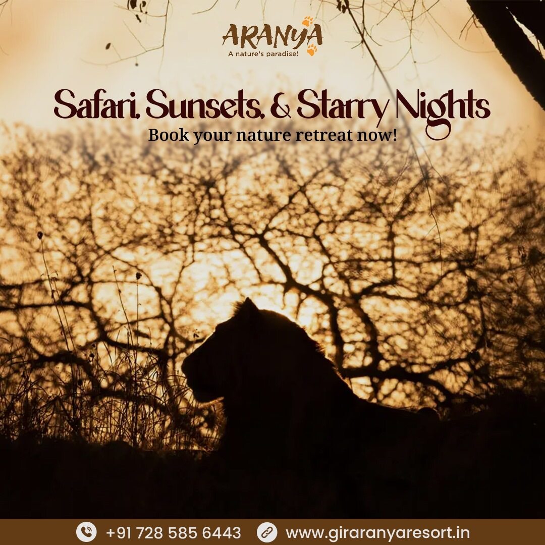 Devaliya Park Safari is Better for a Short Vacation