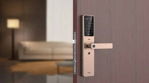 Door Lock Services
