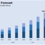United States Carpet Market Report 2025-2033, Industry Growth Opportunity, and Forecast