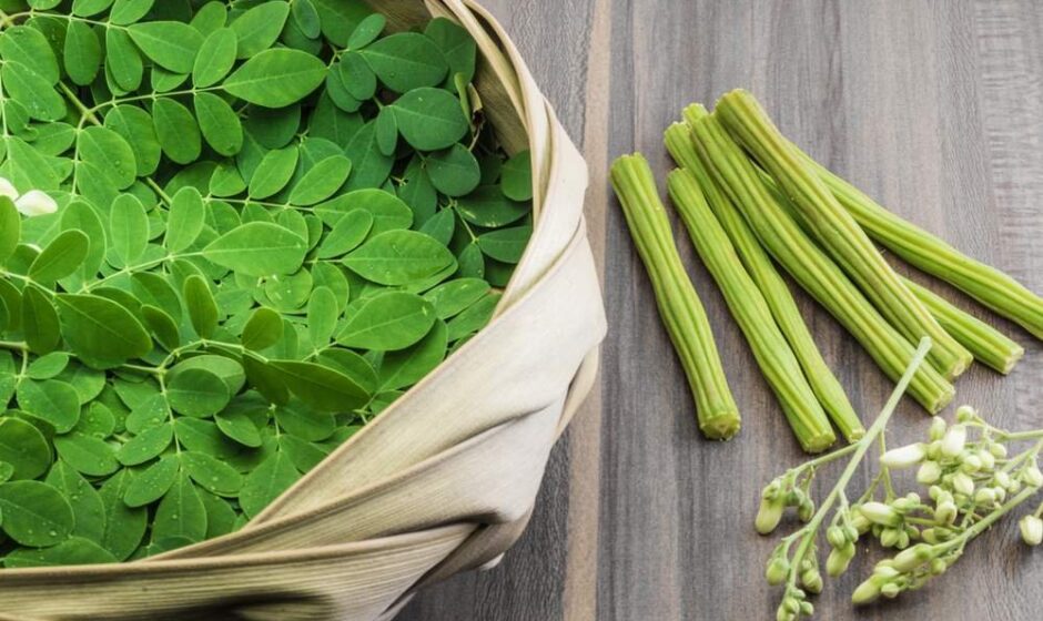 Moringa Benefits for a Healthier Daily Life