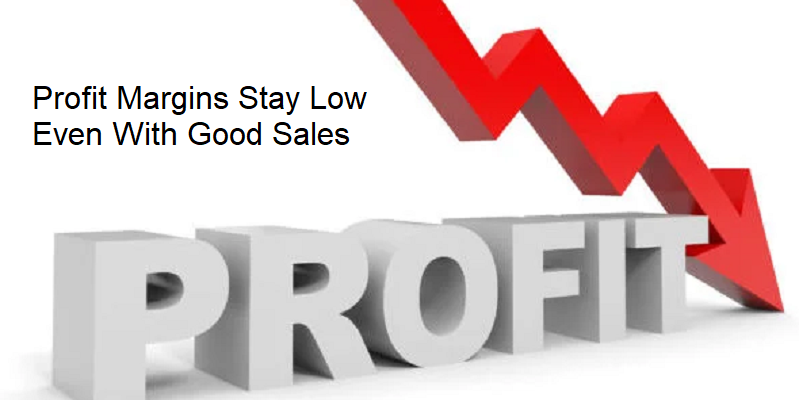 Real Reasons Your Profit Margins Stay Low Even With Good Sales