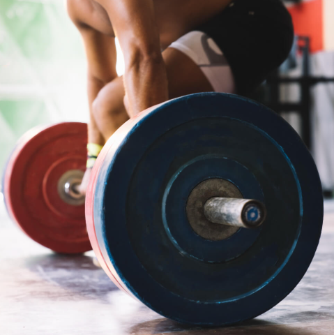 Nutrition Personal Trainer