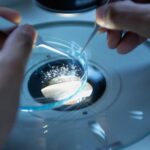 India Bone Graft and Substitutes Market Size and Industry Analysis Report 2025-203