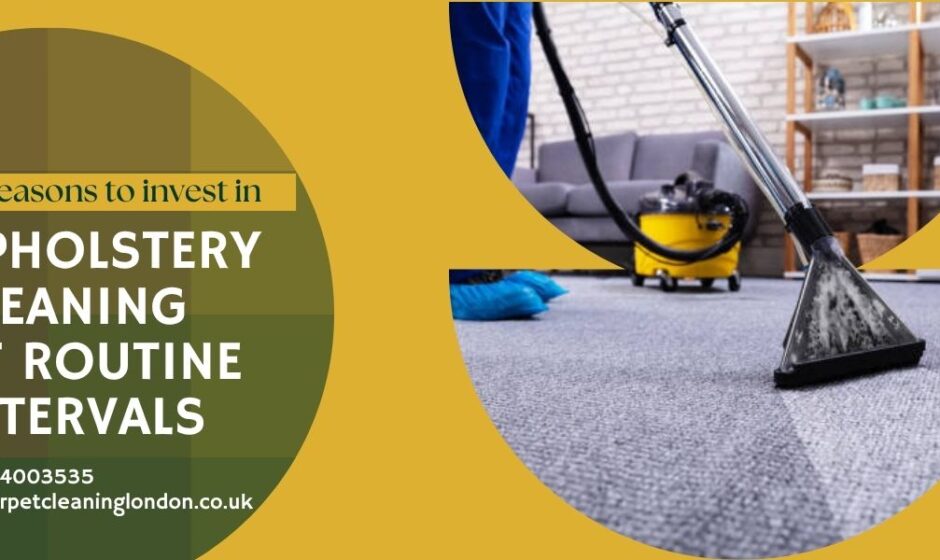 upholstery cleaning specialist near me