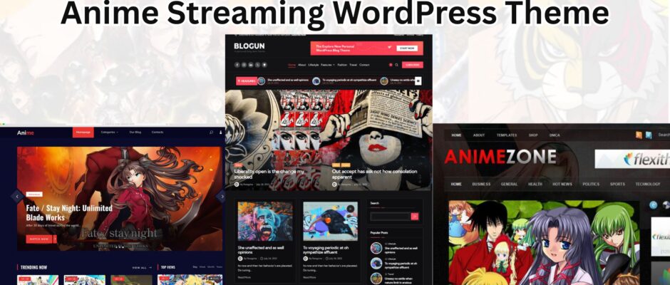What Defines a Top-Tier Anime Streaming WordPress Theme?