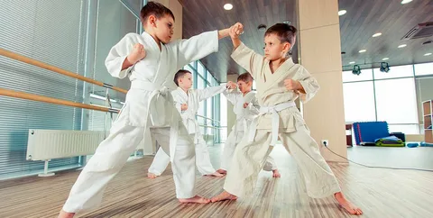 Best Karate Programs in UAE