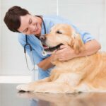 The Future of Healthcare IT: Trends and Innovations in Integration