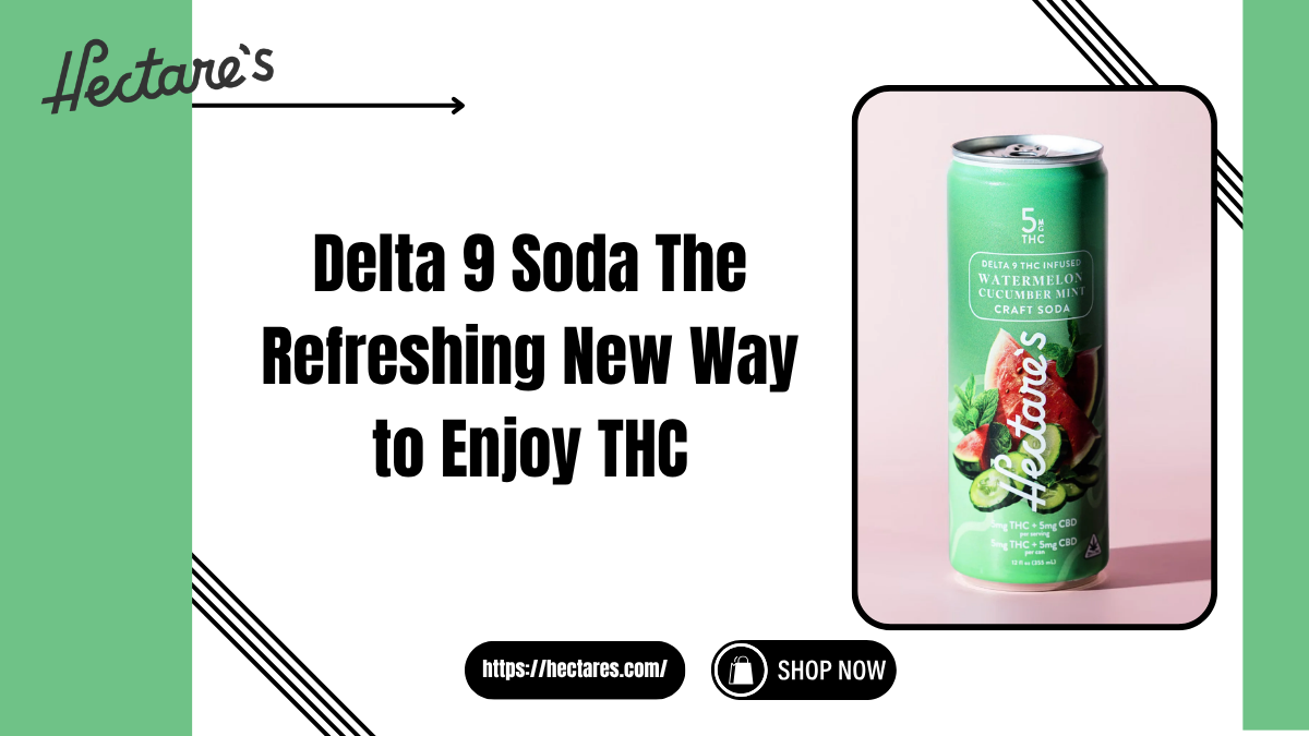 Delta 9 Soda The Refreshing New Way to Enjoy THC