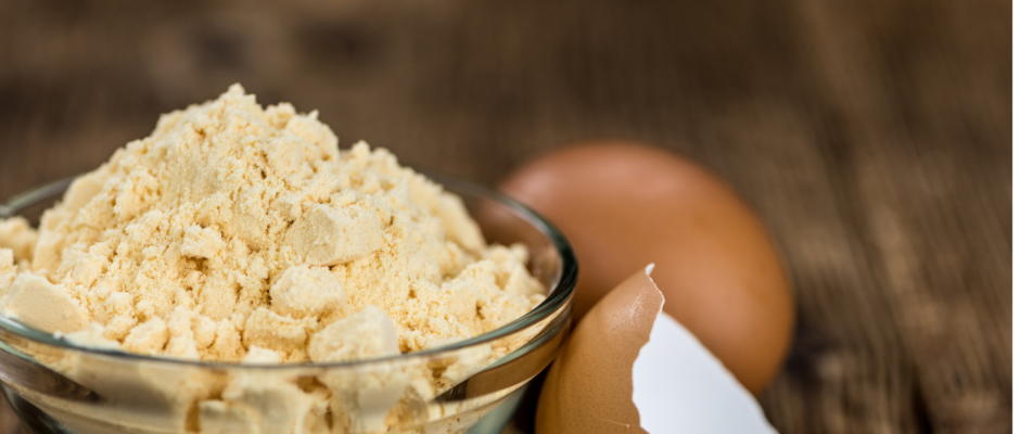 GCC Egg Powder Market
