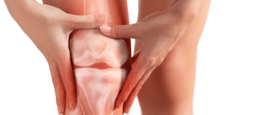 Knee Pain doctor new york