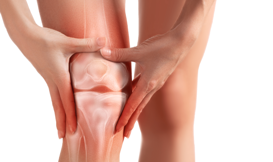 Knee Pain doctor new york