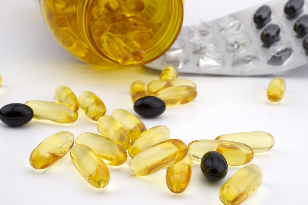 Exploring the Plan for Omega 3 Fish Oil Manufacturing Plant Project: Detailed Report