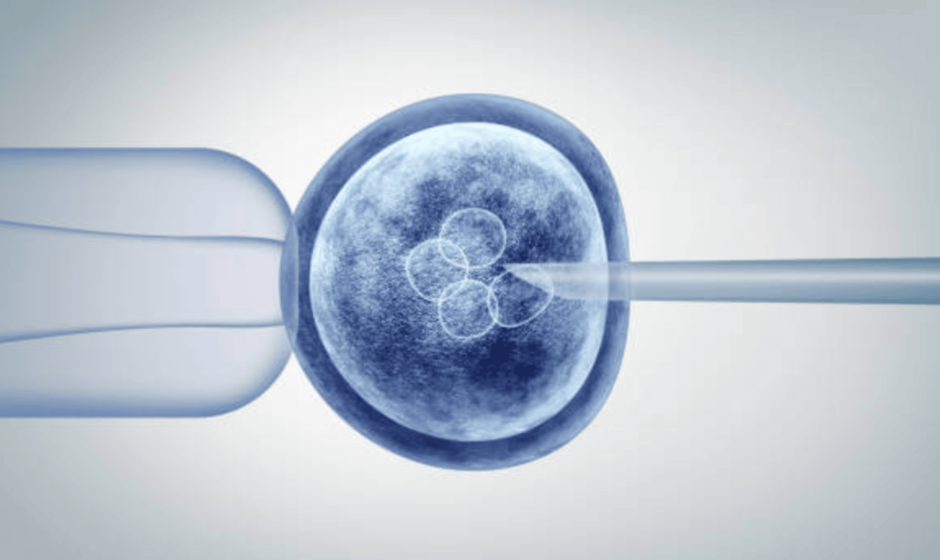 stem cells iv drip