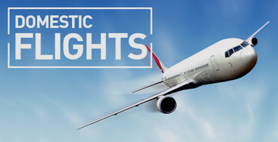 Domestic Flight Deals 2025 | WinkTravelDeals | +1-866-579-8033