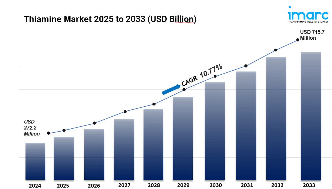 Global Thiamine Market Size, Share, Demand & Trends Report 2025-2033