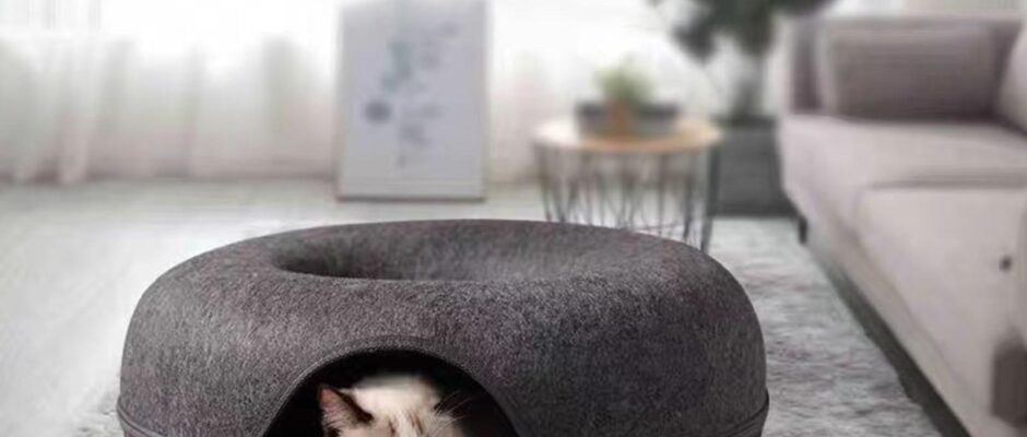 tunnel bed for cats