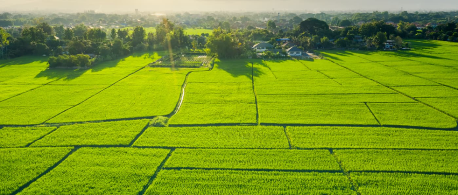 DHA Lahroe commercial plot for sale