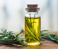 rosemary oil manufacturers