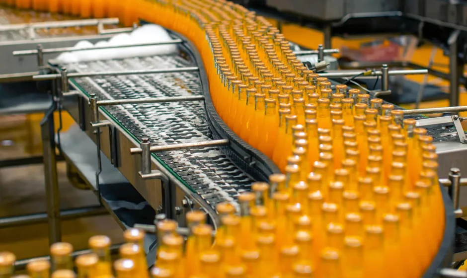 food and beverage consultant