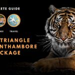 Master the Salesforce Agentforce-Specialist Exam with Ease