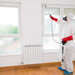 Why Is Professional Flood Cleanup Better Than DIY Methods?