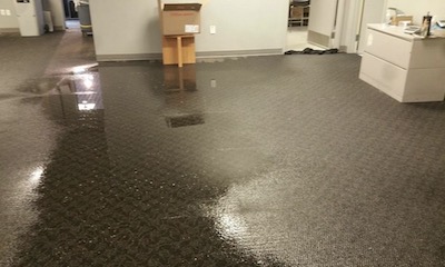 water mitigation Vancouver