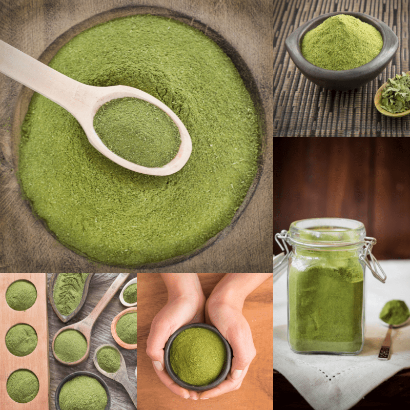 Why Moringa Wholesale Is Booming and What to Know About Choosing the Right Moringa Oil Supplier in India