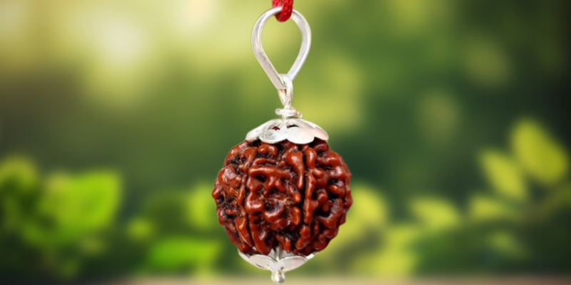7 Mukhi Rudraksha