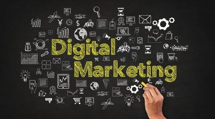 Seo services in noida
