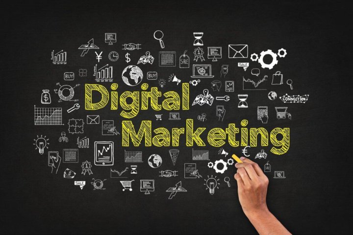Seo services in noida
