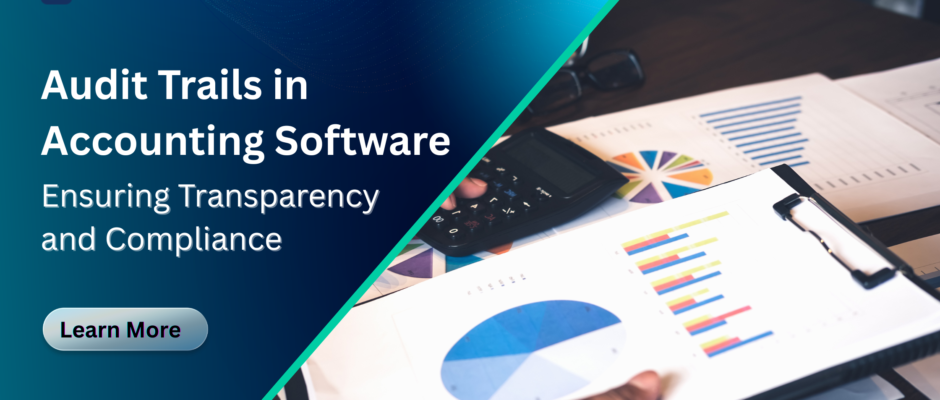 Audit Trails in Accounting Software